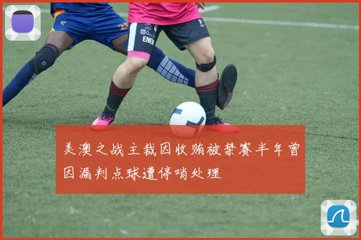 美澳之战主裁因收贿被禁赛半年曾因漏判点球遭停哨处理